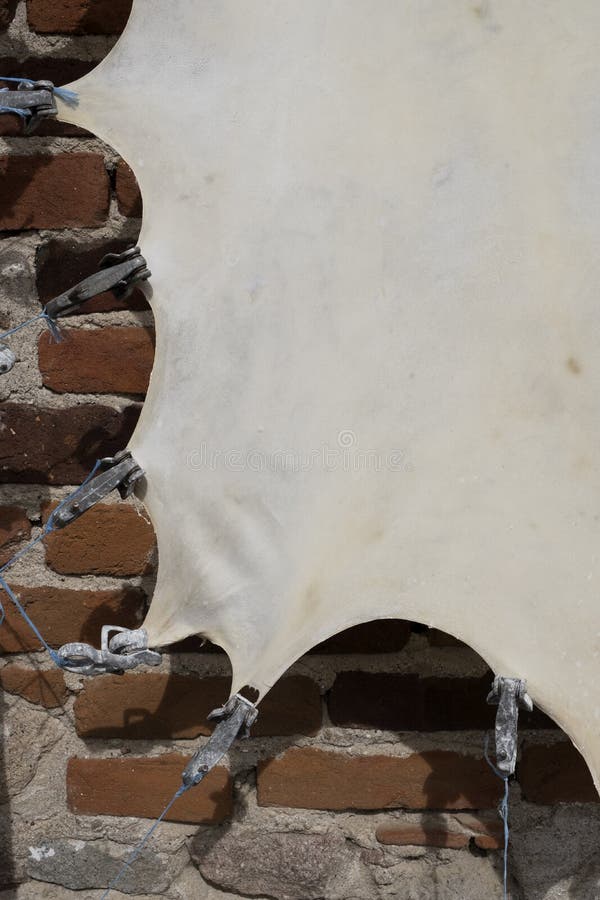 Making leather parchment stock photo. Image of antique 130329494