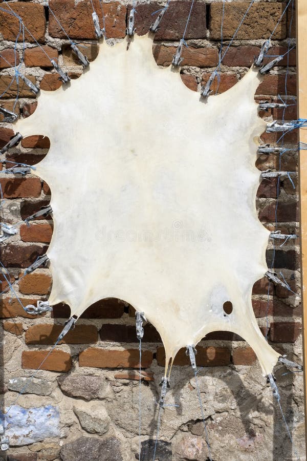 Making leather parchment stock image. Image of poster 135428735
