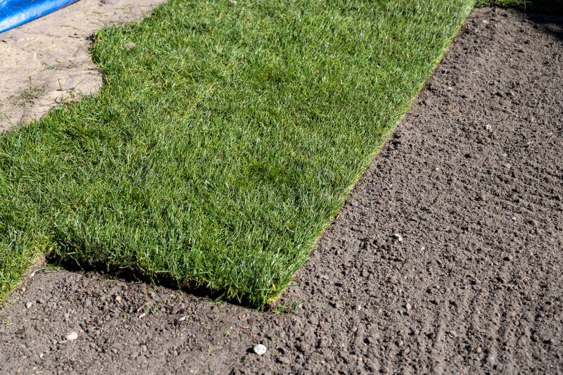 Making of Natural Green Lawn in Garden with Rolls of Green Grass