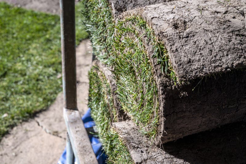 Making of Natural Green Lawn in Garden with Rolls of Green Grass
