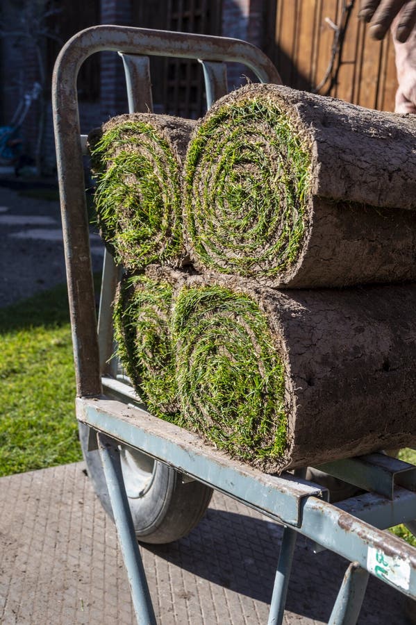 Making of Natural Green Lawn in Garden with Rolls of Green Grass