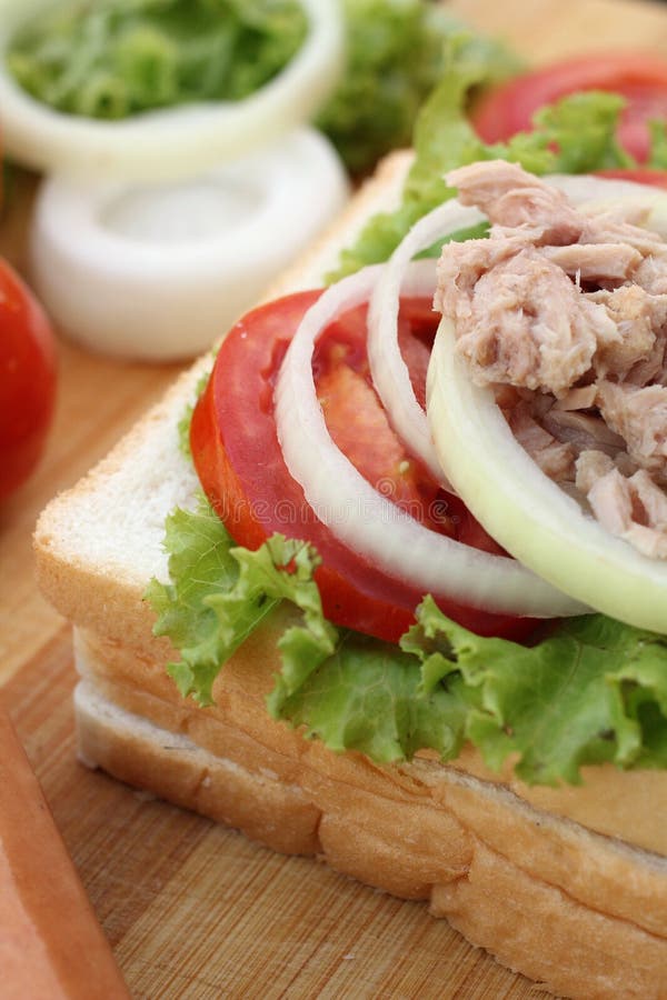 Tuna Fish Sandwich with Tomatos and Lettuce Stock Photo Image of meal