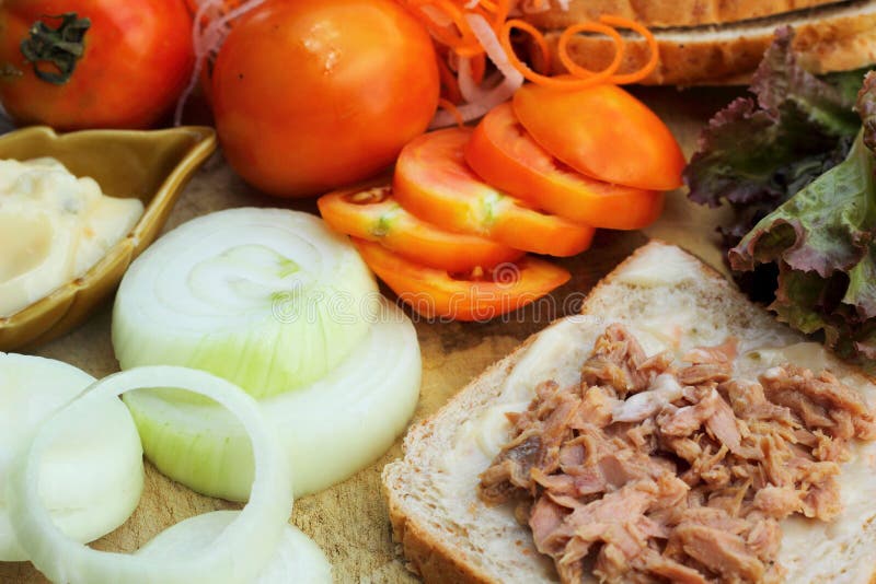 Making Tuna Sandwich with Fresh Vegetables Stock Image Image of breakfast, leaf 42851931