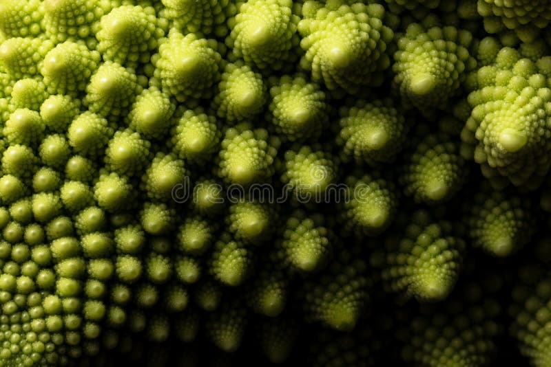 MAKRO- frischen romanesco Kohls Gemüse, selektiver Fokus stockbilder MAKRO- frischen romanesco Kohls Gemüse, selektiver Fokus stockbilder