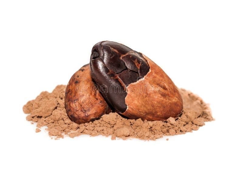 Makro för kakaobönor