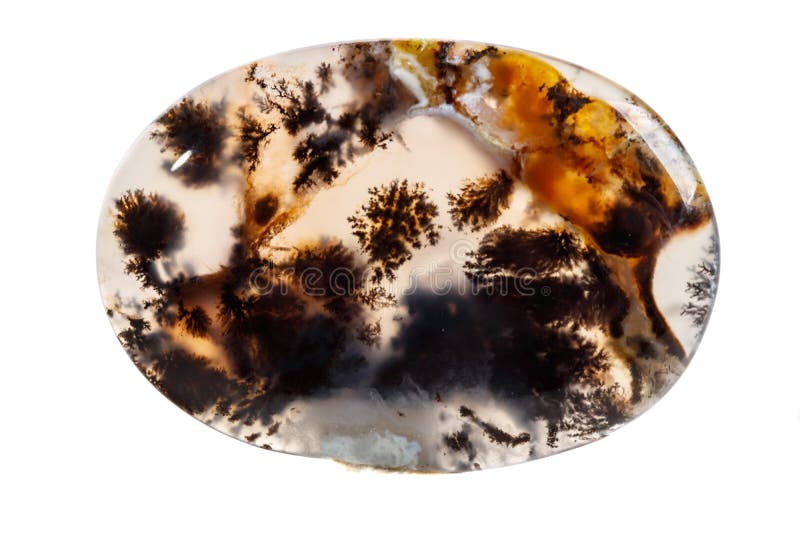 Macro mineral stone Moss Agate, Agata muschiataan white background close up. Macro mineral stone Moss Agate, Agata muschiataan white background close up