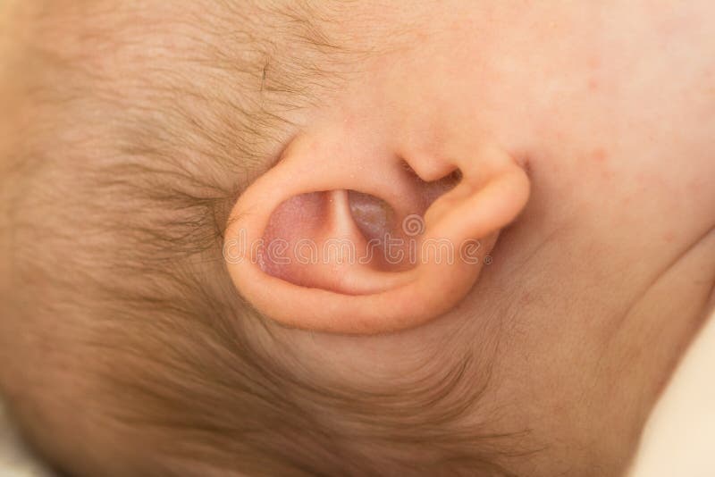 Closeup macro shot of the ear and head of a new-born baby. Closeup macro shot of the ear and head of a new-born baby