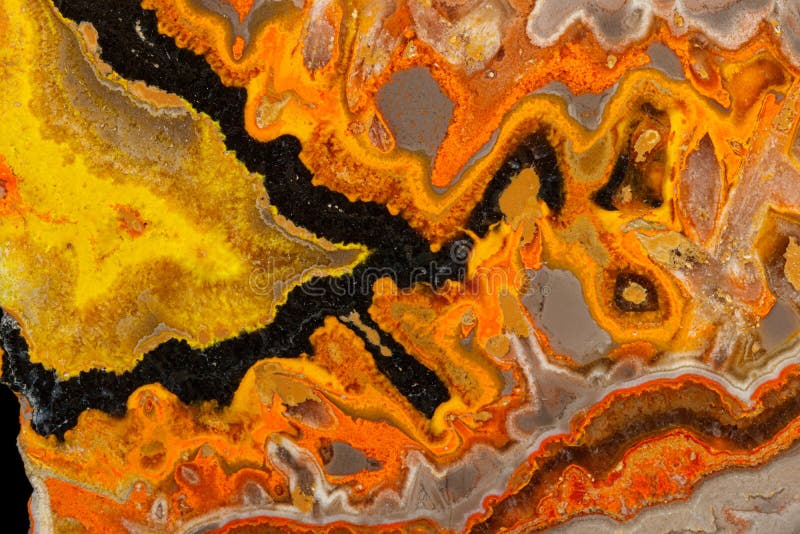 Makro-Mineral-Stein 'Biene' Jasper auf grauem stockfoto
