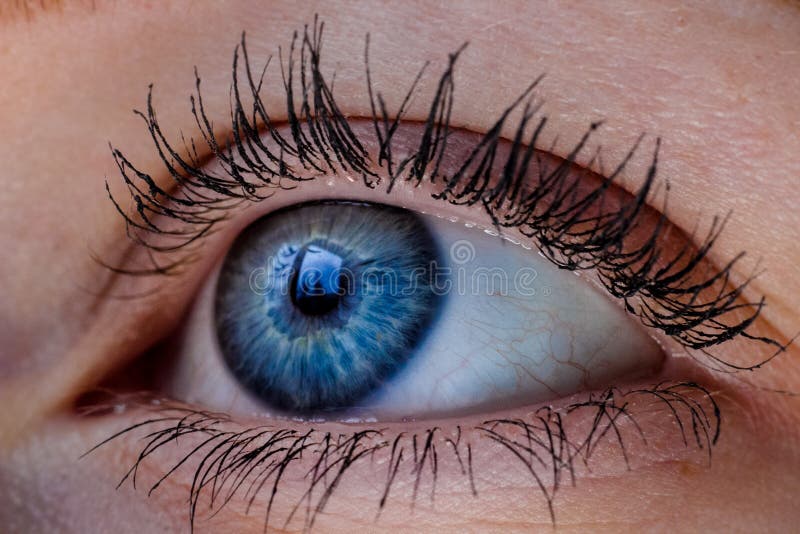 Makro niebieskie oko — zbliżenie