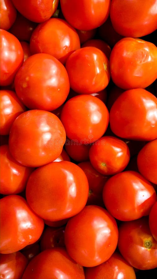 Makro- wizerunek udzia?y czerwoni mali czere?niowi pomidory na kontuarze przy jarzynowym sklepem Tekstura lub wz?r ?wie?y dojrza? obraz stock Makro- wizerunek udzia?y czerwoni mali czere?niowi pomidory na kontuarze przy jarzynowym sklepem Tekstura lub wz?r ?wie?y dojrza? obraz stock