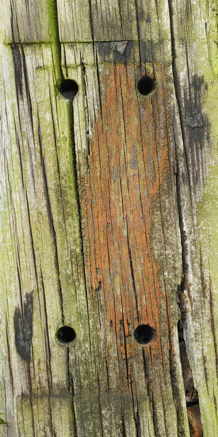 Makro wood of a railroad tie stock photos Makro wood of a railroad tie stock photos
