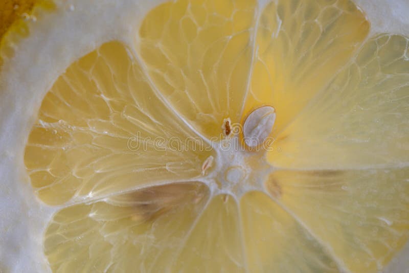 Makronahaufnahme der Scheibe der Zitrone mit Samen im Wasser stockbilder Makronahaufnahme der Scheibe der Zitrone mit Samen im Wasser stockbilder