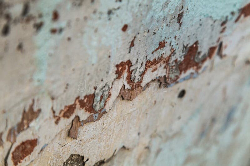 Makrophotographie des überlagerten Schalengipses mit Überresten von altem stockbild Makrophotographie des überlagerten Schalengipses mit Überresten von altem stockbild