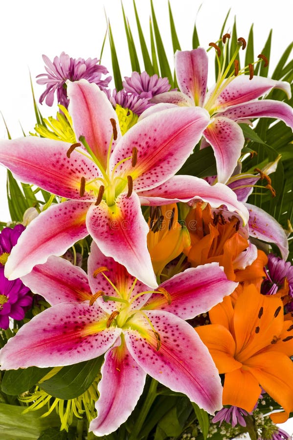 Makroschuß der schönen Blume lizenzfreie stockbilder
