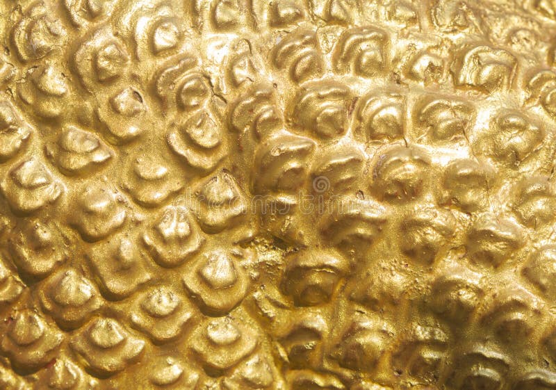 Makroslut upp av den guld- draken fotografering för bildbyråer