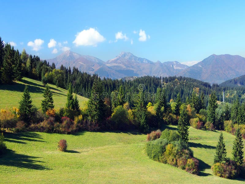 Malá Fatra a lesy nad obcou Jaseňová