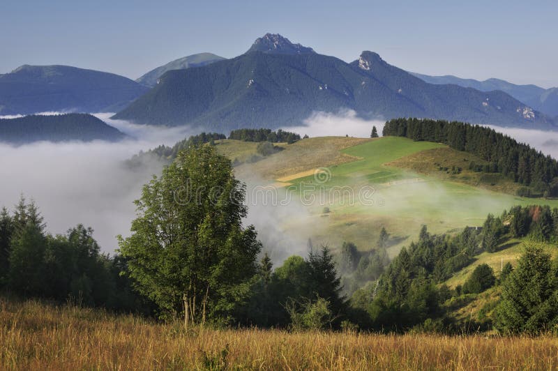 Mala Fatra mountains stock photo. Image of peak, trees - 86817888