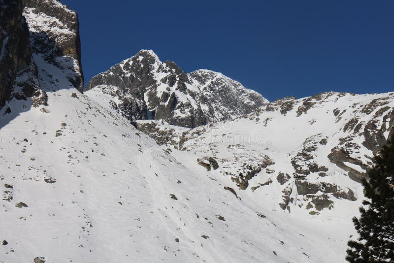 Mala Studena valley in High Tatras