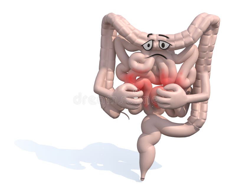 Maladie De Santé De Mal De Problèmes D'intestin Illustration Stock -  Illustration du anatomie, iléon: 103139565