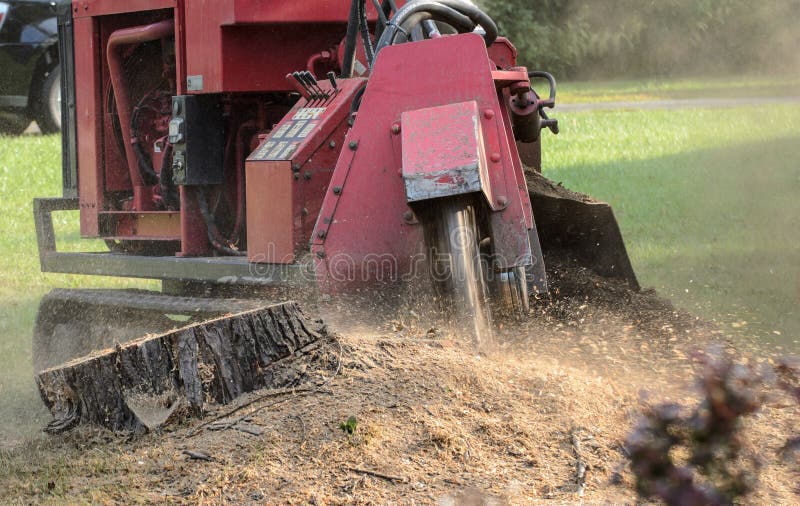 Machine grinding stump left after tree removal. Machine grinding stump left after tree removal.