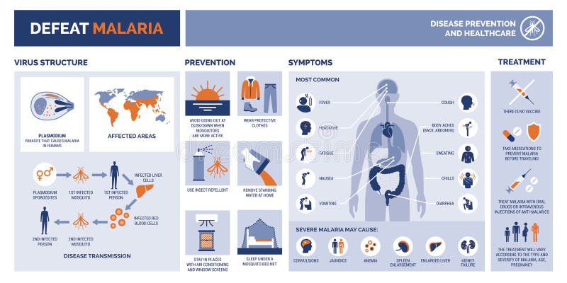 Defeat malaria medical vector infographic with disease prevention, symptoms and treatment. Defeat malaria medical vector infographic with disease prevention, symptoms and treatment