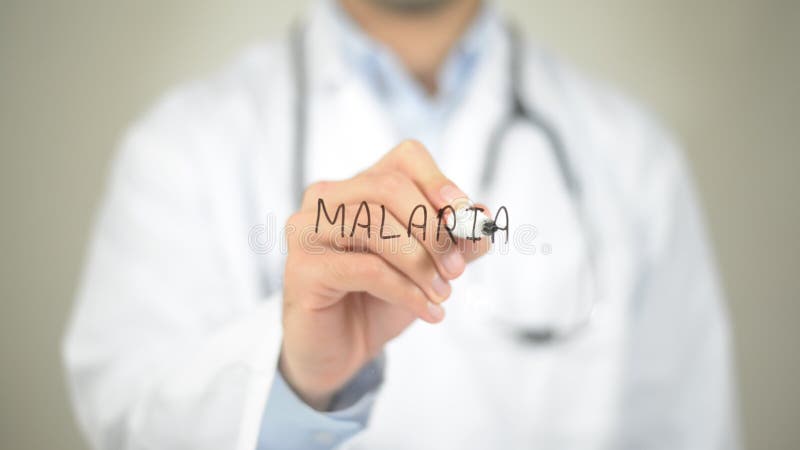 Malaria, escritura del doctor en la pantalla transparente fotos de archivo libres de regalías Malaria, escritura del doctor en la pantalla transparente fotos de archivo libres de regalías