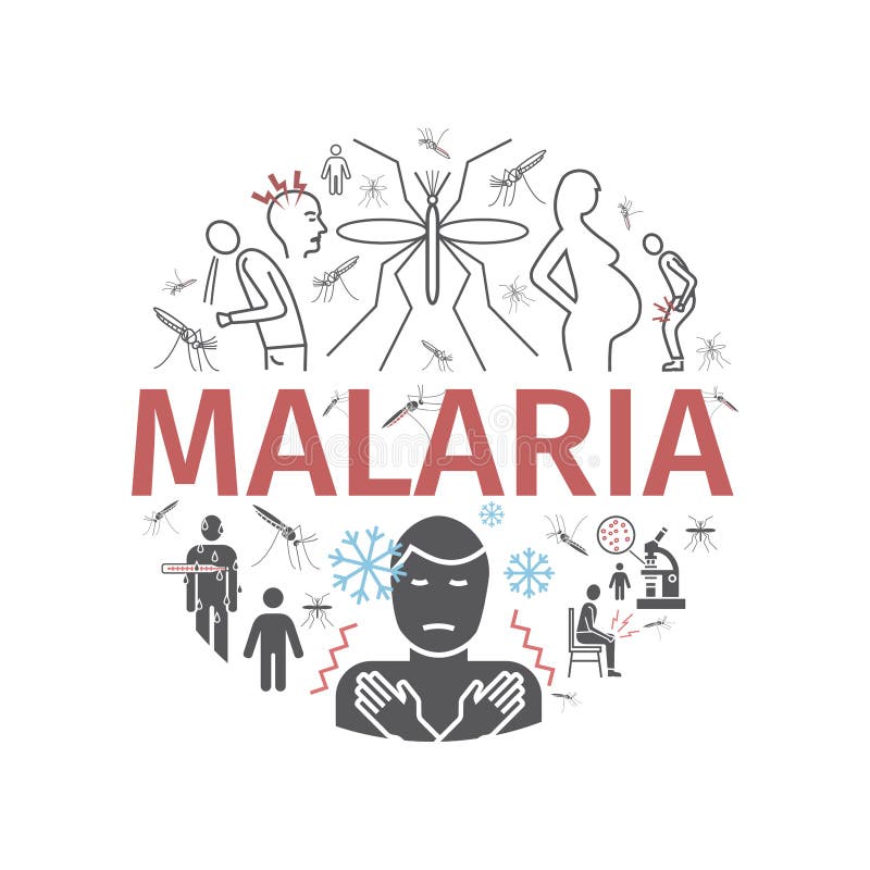 Malaria Line Icon Banner. Infographics. Symptoms, Vector Signs for Web ...