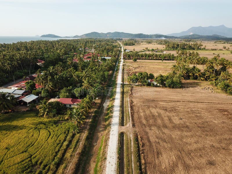 Malays house and harvested paddy field