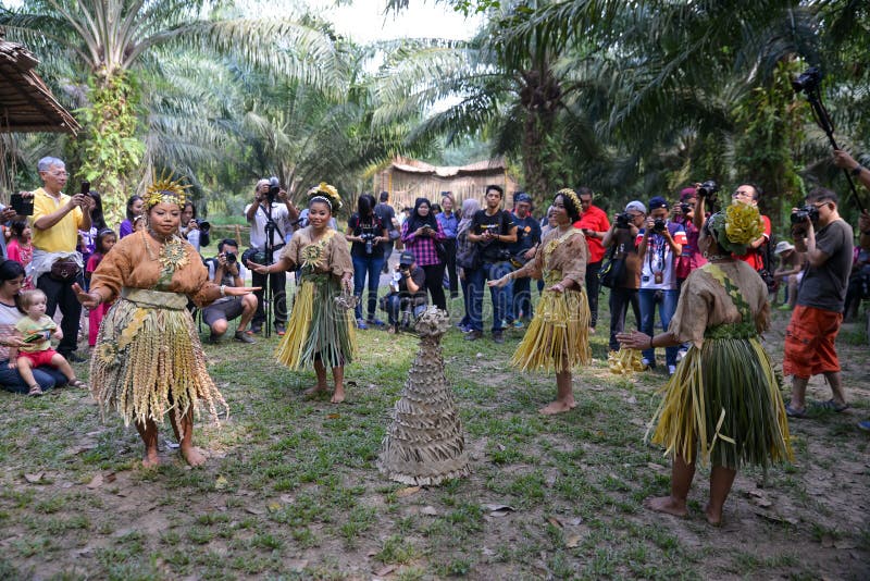  Malaysian  Aborigines  editorial image Image of black 