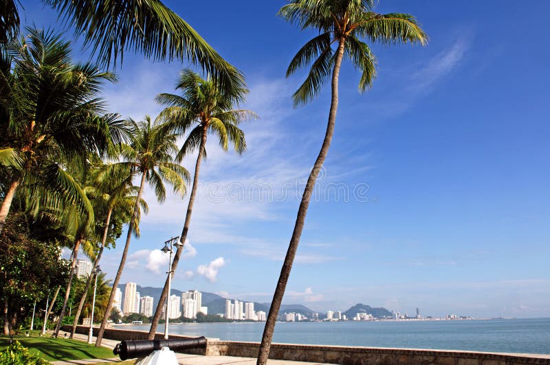 Malesia, Penang vista della Città una vista paradisiaca con cielo blu e spiagge di sabbia fine di struttura da alberi di cocco.