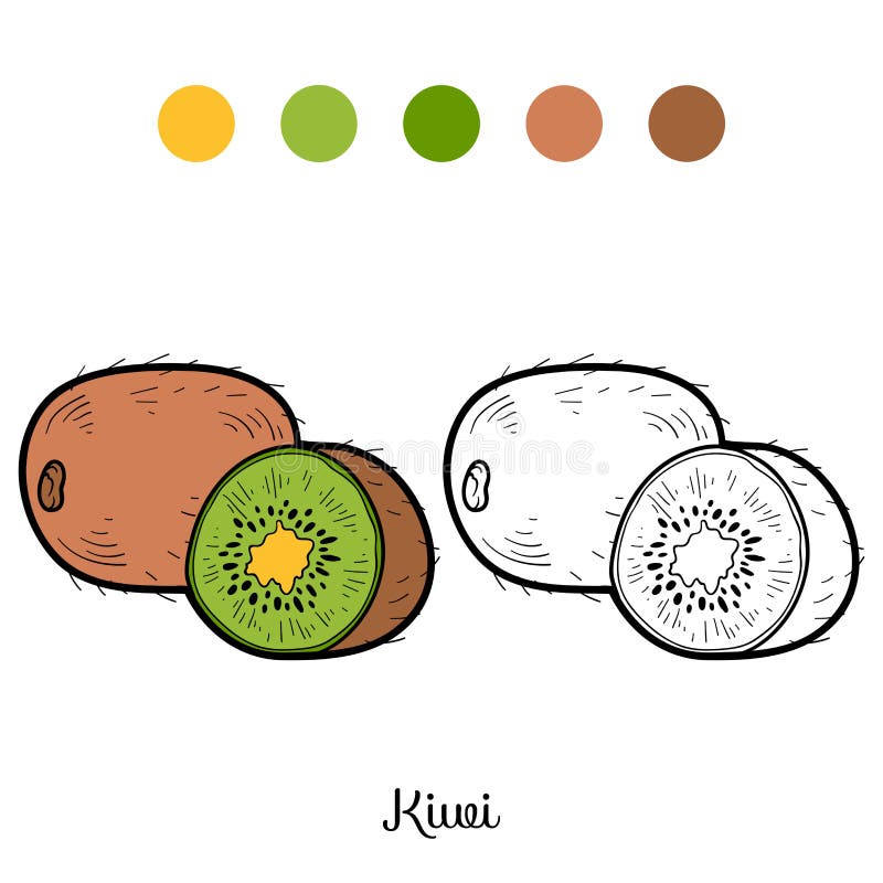 Malbuch: Obst und Gemüse (Kiwi)