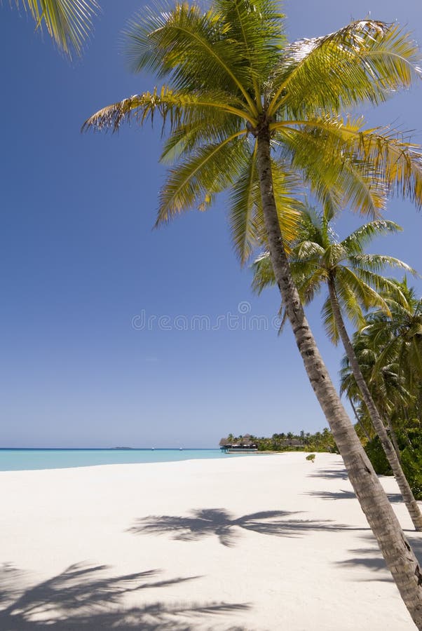 Maldives seascape