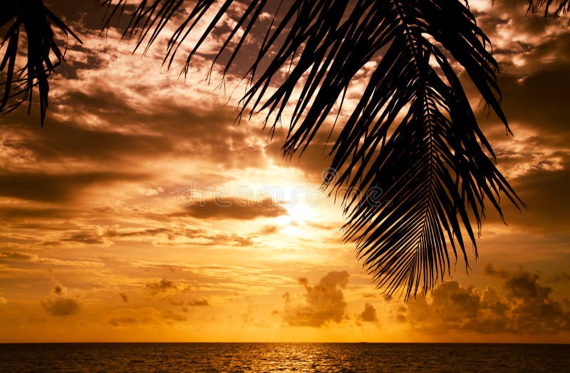 Maldivian solnedgång