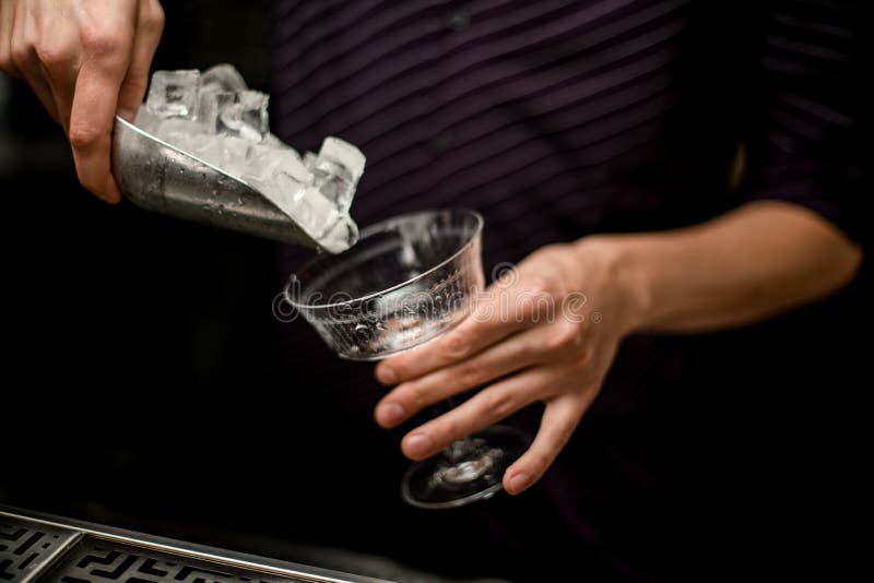 Male bartender adding an ice cubes to the empty cocktail glass with a steel paddle royalty free stock photo Male bartender adding an ice cubes to the empty cocktail glass with a steel paddle royalty free stock photo