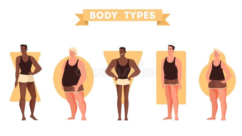 Men With Different Body Shape Types. Males In Underwear, Rectangle