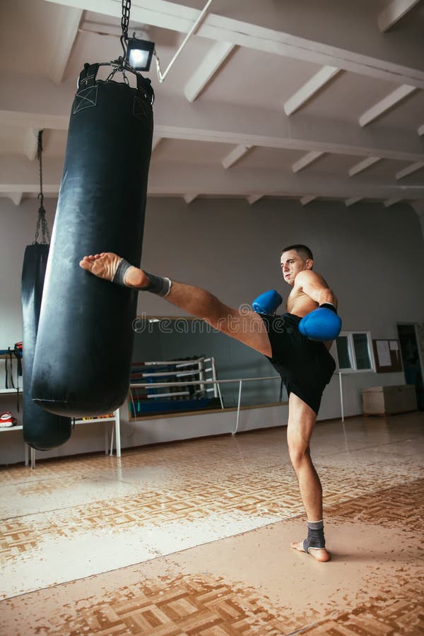 Male Boxer Hitting Punching Bag at Gym Stock Image Image of people