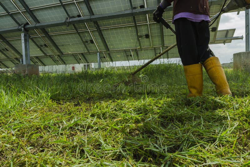 Male employees use lawn mowers to cut grass in the area of solar power plants stock photos Male employees use lawn mowers to cut grass in the area of solar power plants stock photos