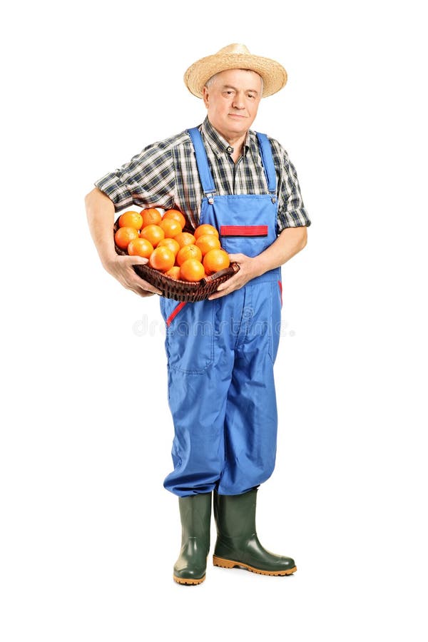 Male farmer holding a basket full of of tomatoes royalty free stock image Male farmer holding a basket full of of tomatoes royalty free stock image