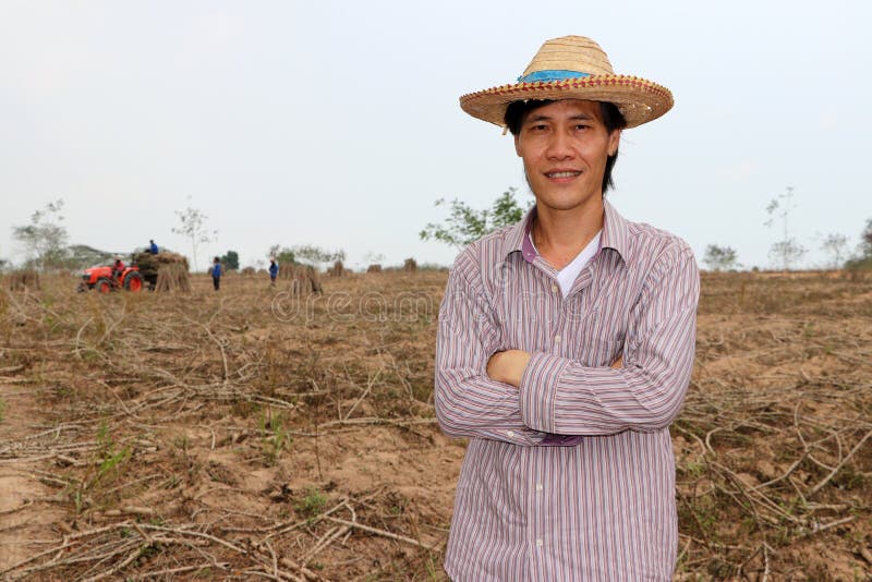Male farmer standing and hugging chest in the cassava farm royalty free stock images Male farmer standing and hugging chest in the cassava farm royalty free stock images