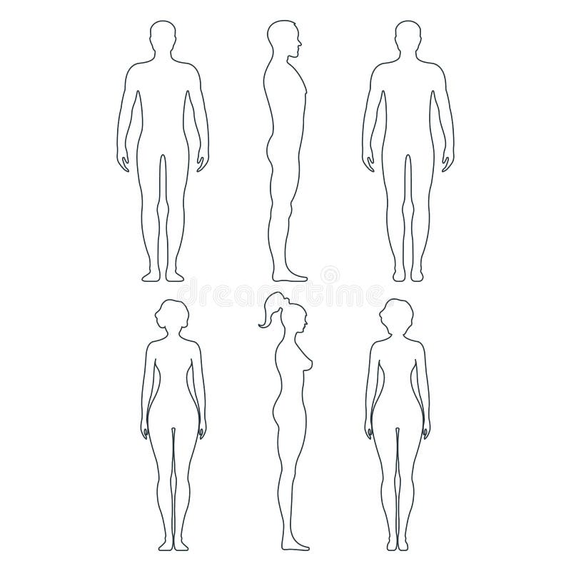 Male and Female Body Outline Stock Vector - Illustration of