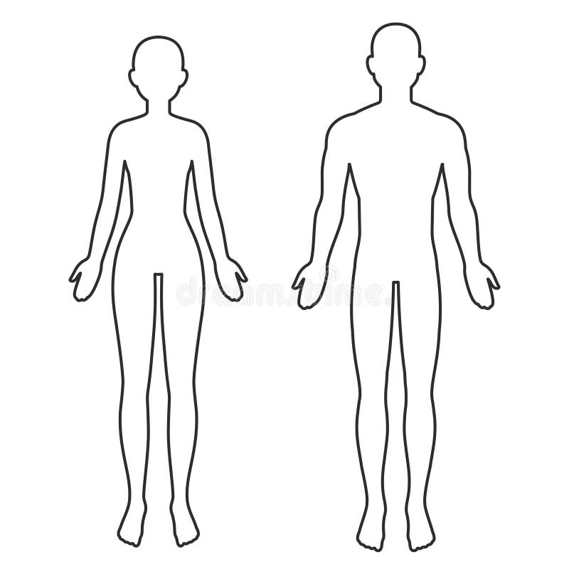 Man woman contour bodies pointers and body parts Vector Image