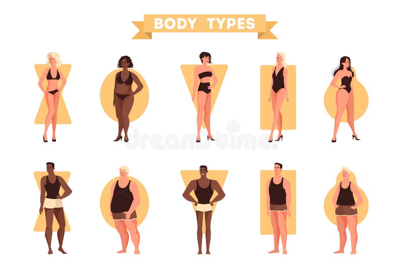 Body Shapes Stock Illustrations – 7,914 Body Shapes Stock