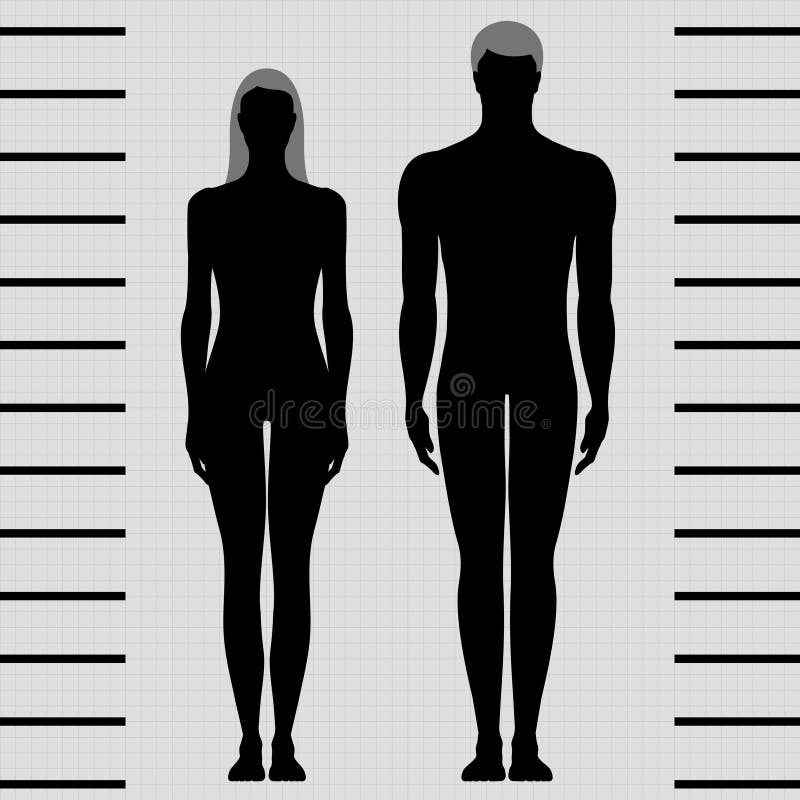 Male And Female Body Templates Stock Vector - Image: 23203249