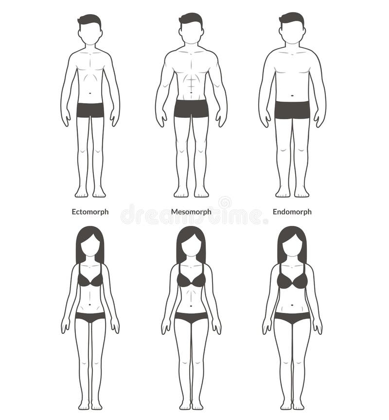 Men With Different Body Shape Types. Males In Underwear, Rectangle