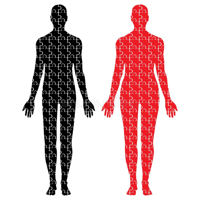 Male and female puzzle bodies