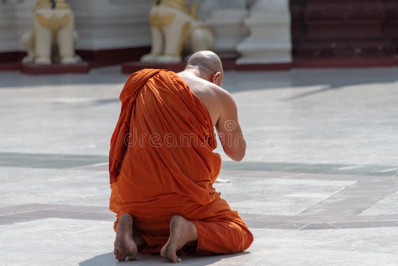 A Buddhist monk kneels in prayer at the Shwedagon Pagoda, Yangon, Myanmar