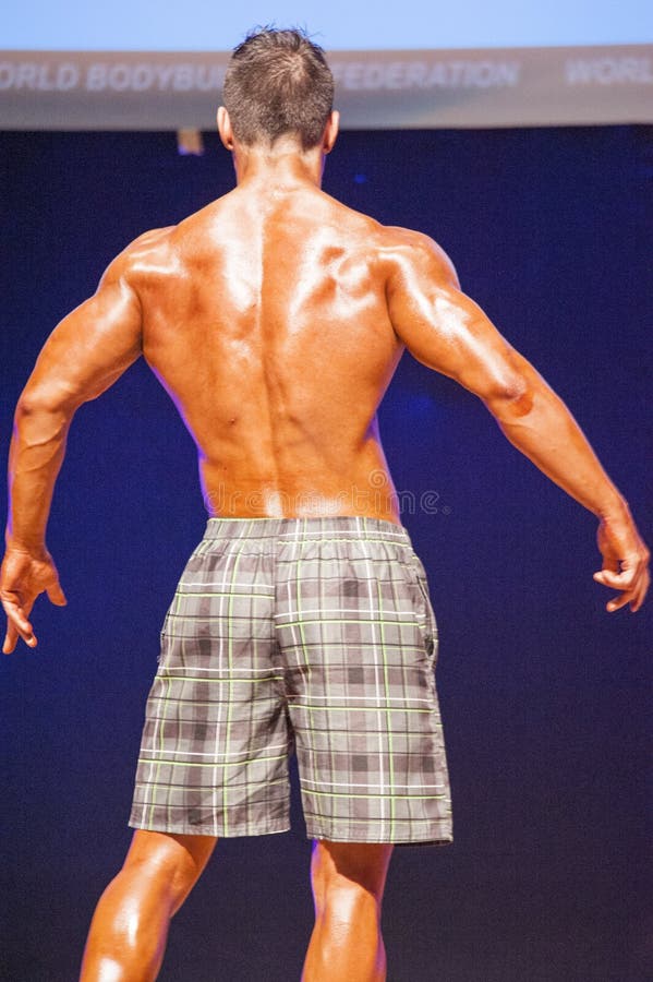 fitnessandmass.com | Fotógaléria | Muscular Men's physique over 175 cm |  Fitness and Mass