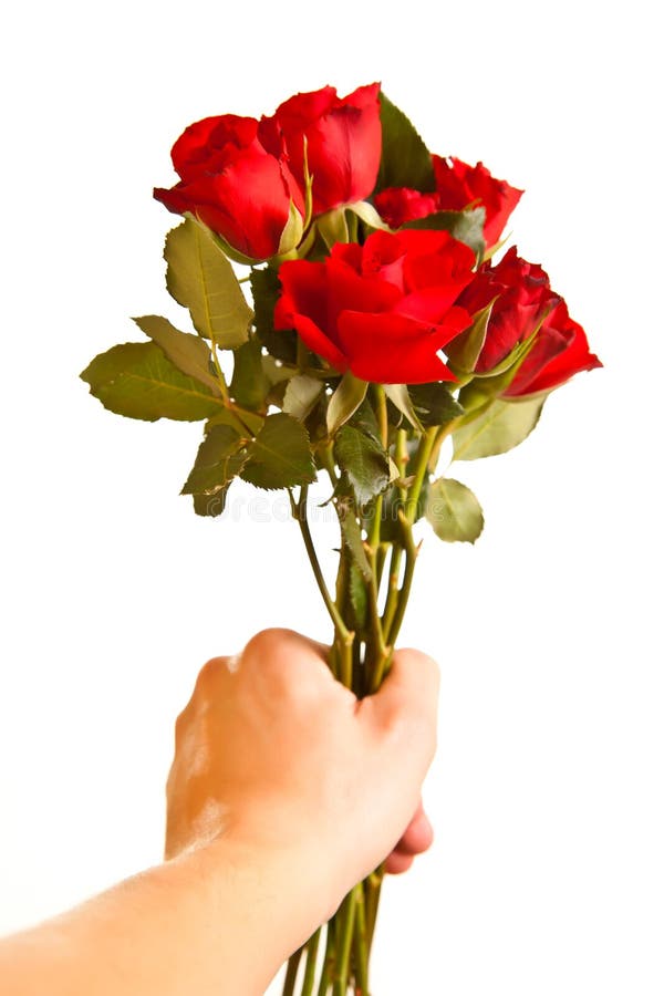 Male hand giving roses isolated