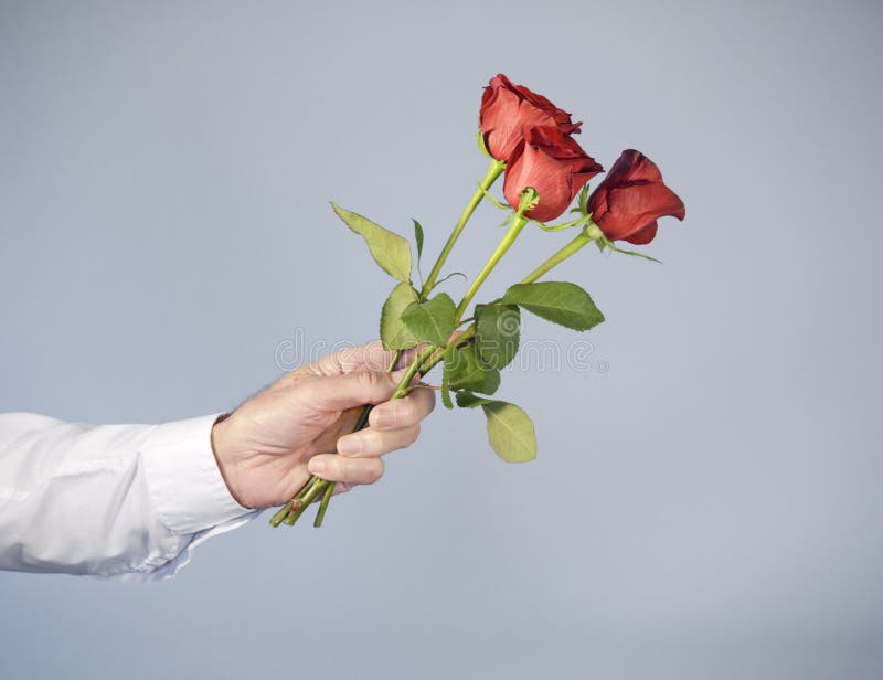 Male hand holding out three red roses