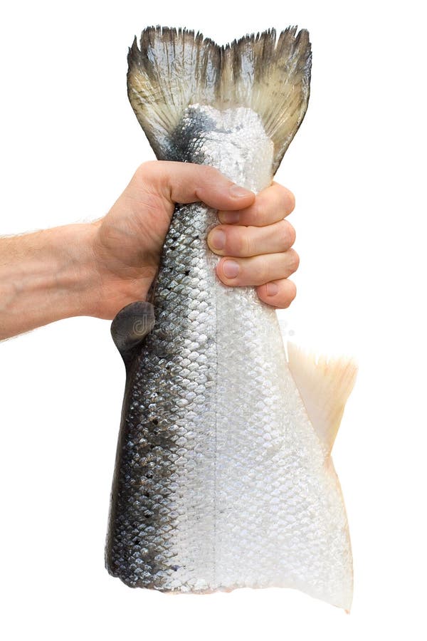 Male hand with salmon fish